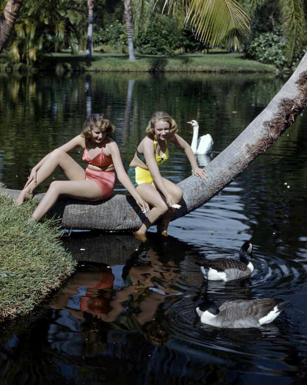 Lois duncan steinmetz arquette richard peck essay 05 picture