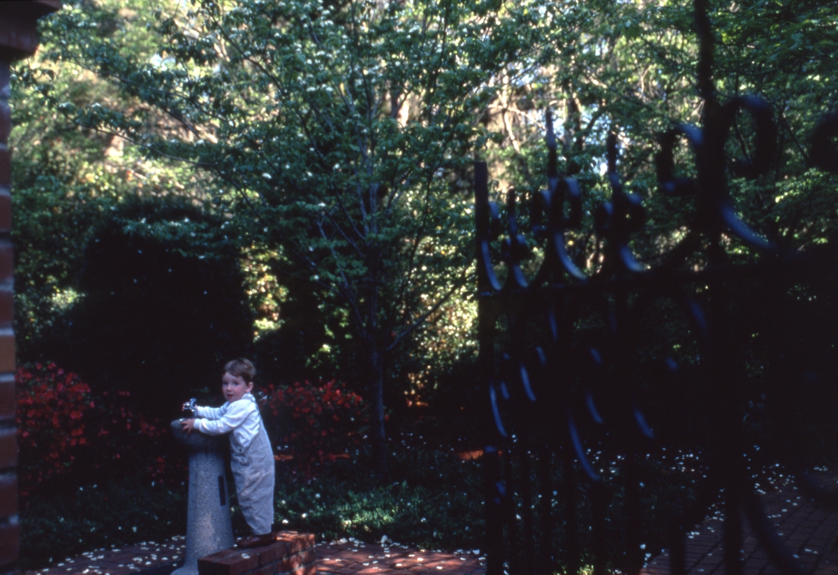 Florida Memory Boy Using Water Fountain At Maclay Gardens In