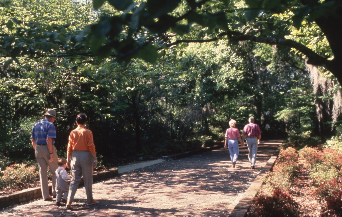 Florida Memory Visitors On The Garden Path At Maclay Gardens In