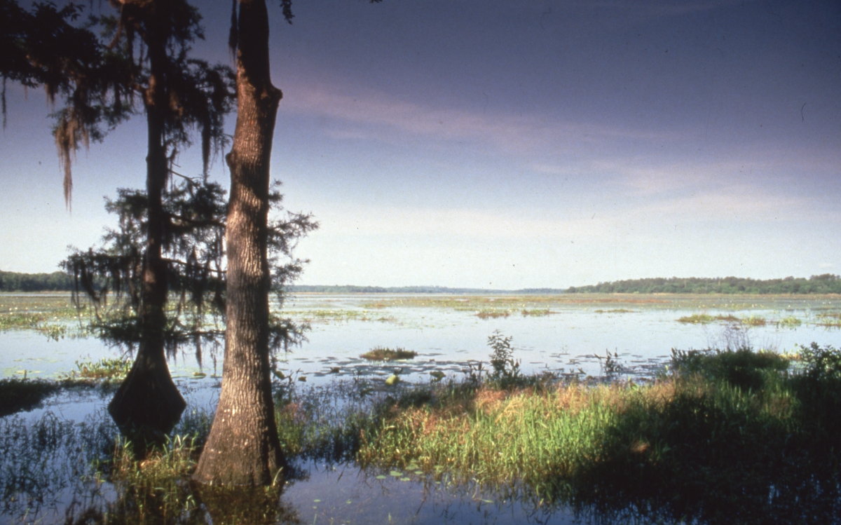 Florida Memory Scenic view of Lake Jackson in Tallahassee, Florida.