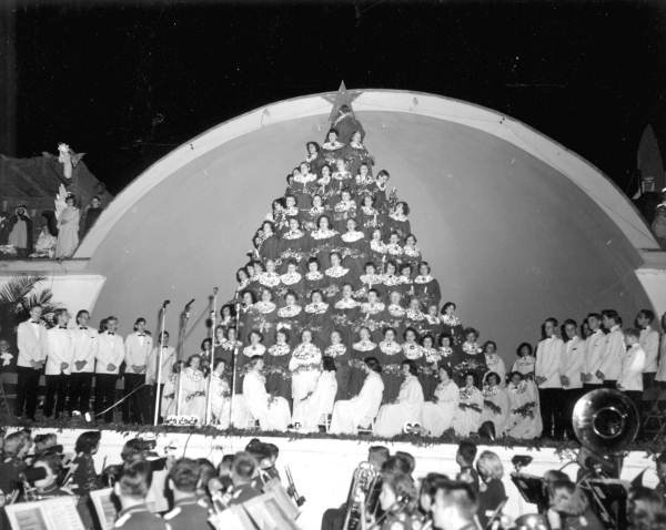 Florida Memory - Singing Christmas tree - Fort Myers, Florida.