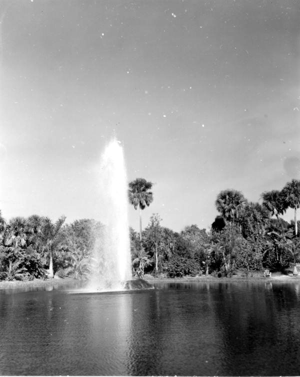 Florida Memory Artificial geyser at Africa USA Boca