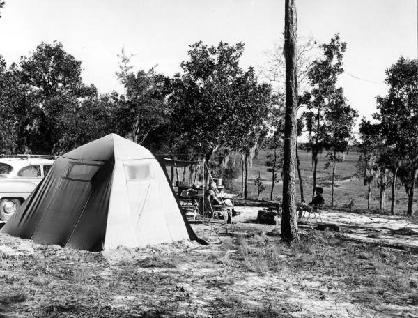 Florida Memory Campsite Near Lake Johnson At Gold Head Branch