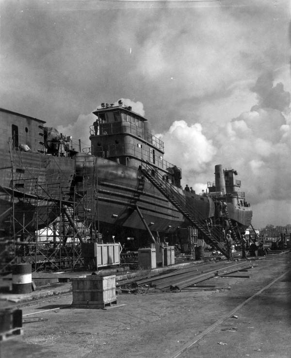 Jacksonville fl picture