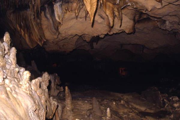 Interior view of a cave at the Florida Caverns State Park - Marianna, Florida