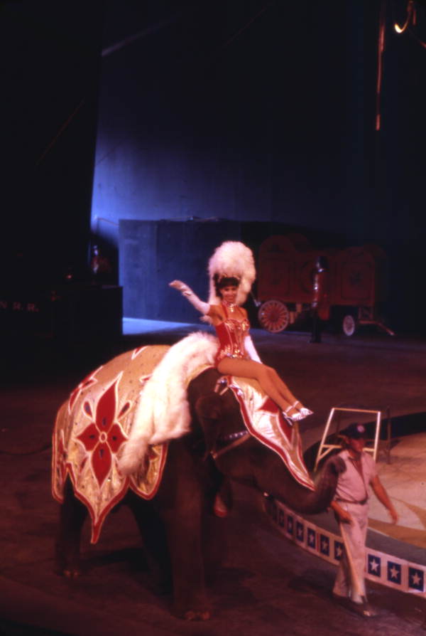 Florida Memory Woman riding on an elephant during performance at the