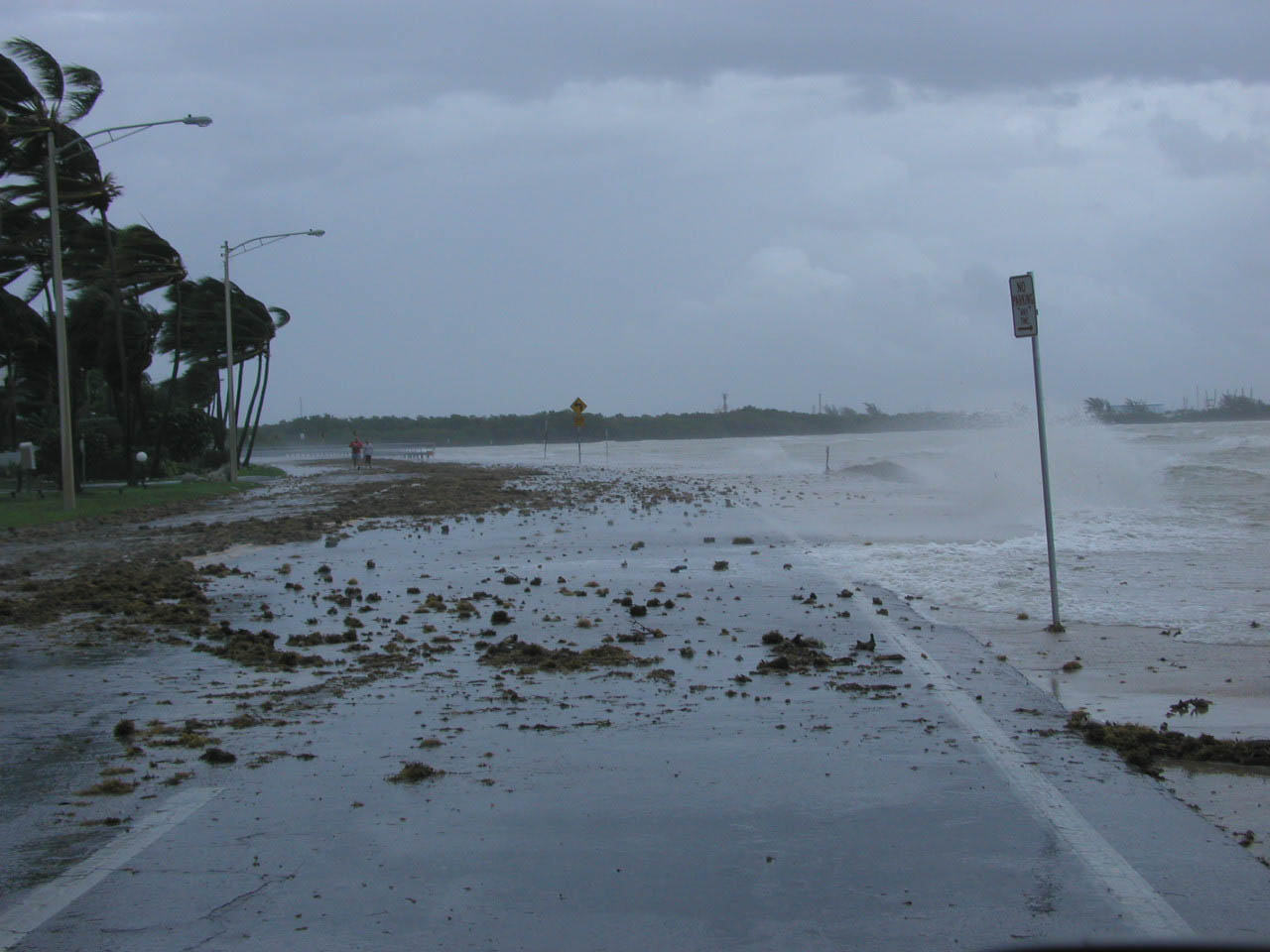Hurricane charley facts picture