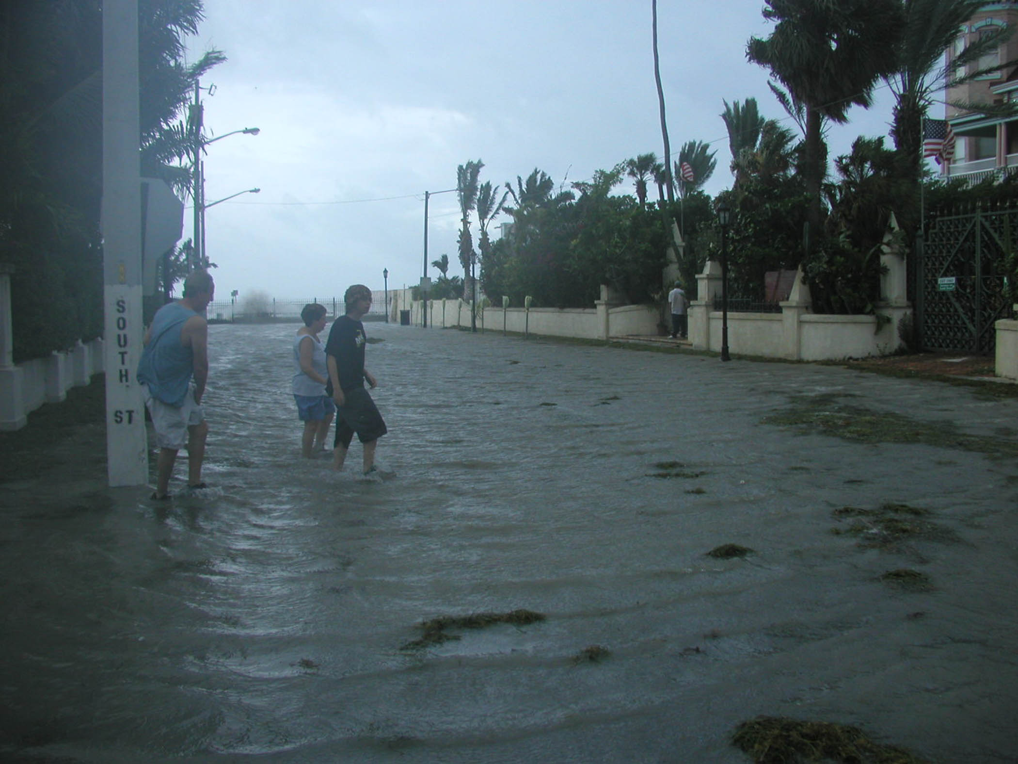 Hurricane charley essay picture