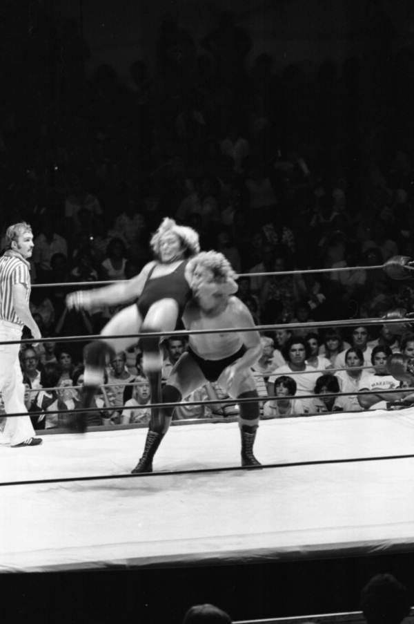 Wrastlin fans essay picture