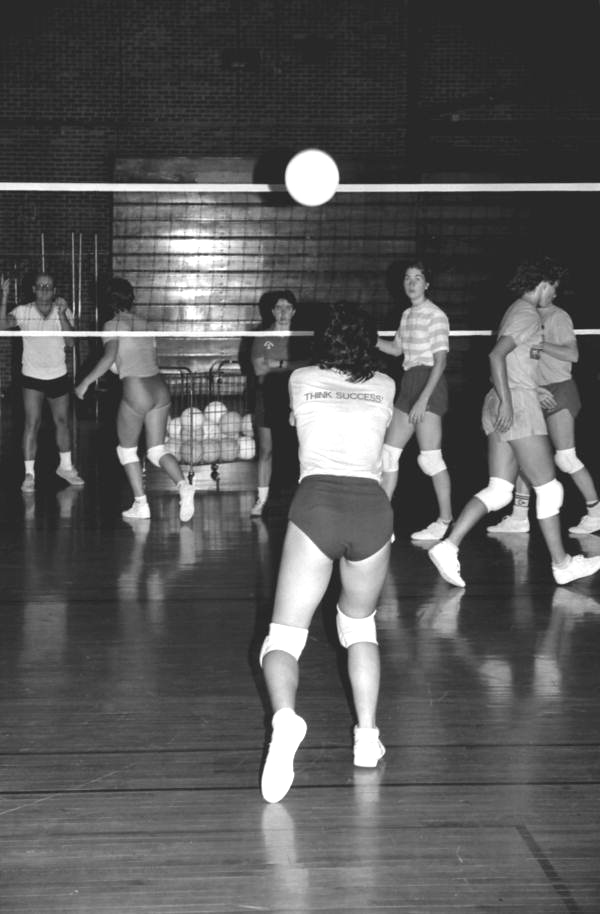 Volleyball history essay image