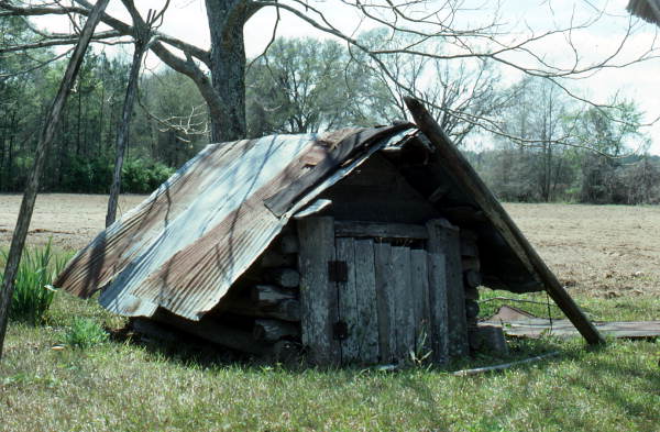 Descriptive essay the old root cellar 05 image