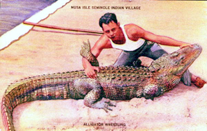 Wrestling An Alligator