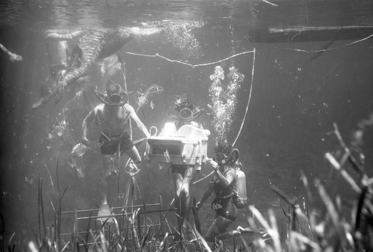 Florida Memory Underwater film crew on set of "Revenge of the Creature" at Silver Springs.