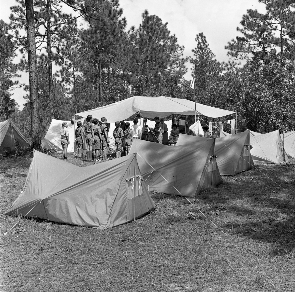 Florida Memory Boy Scouts Troop 390 camp at Silver Springs during Boy
