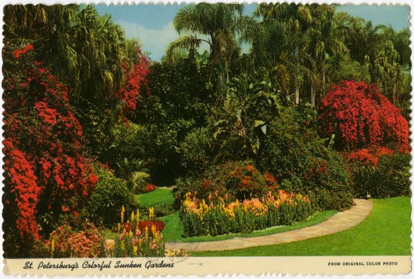 Florida Memory St Petersburg S Colorful Sunken Gardens