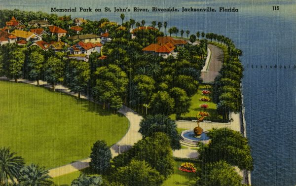 Riverside Memorial Park live oaks photo 2