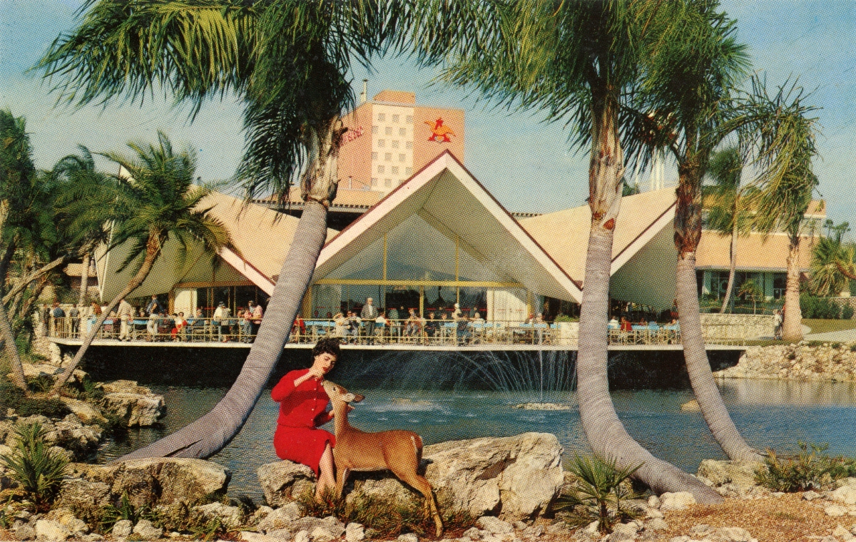 Florida Memory Woman Feeding Deer Beside The Beautiful Lagoon At