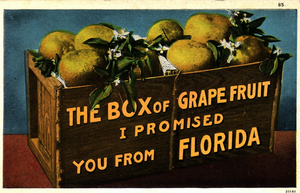 The Box of grapefruit I promised you from Florida