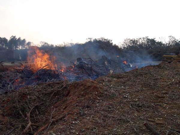 Florida Memory Burn Pit Of An Air Curtain Incinerator At 9