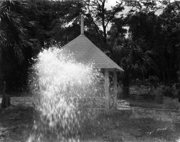 Florida Memory - Water shooting out of an artesian well.