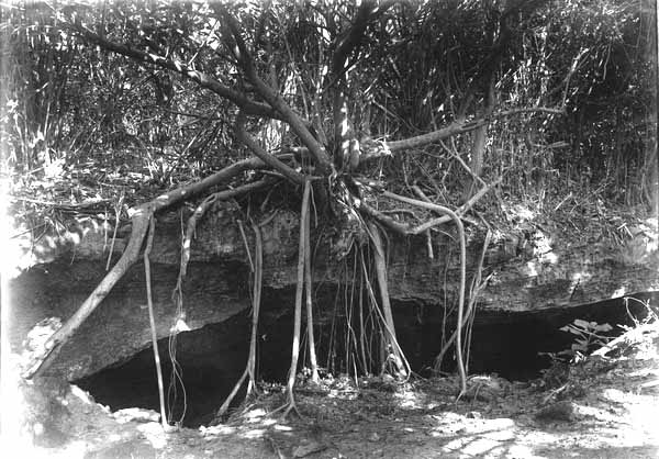 Importance of limestone image